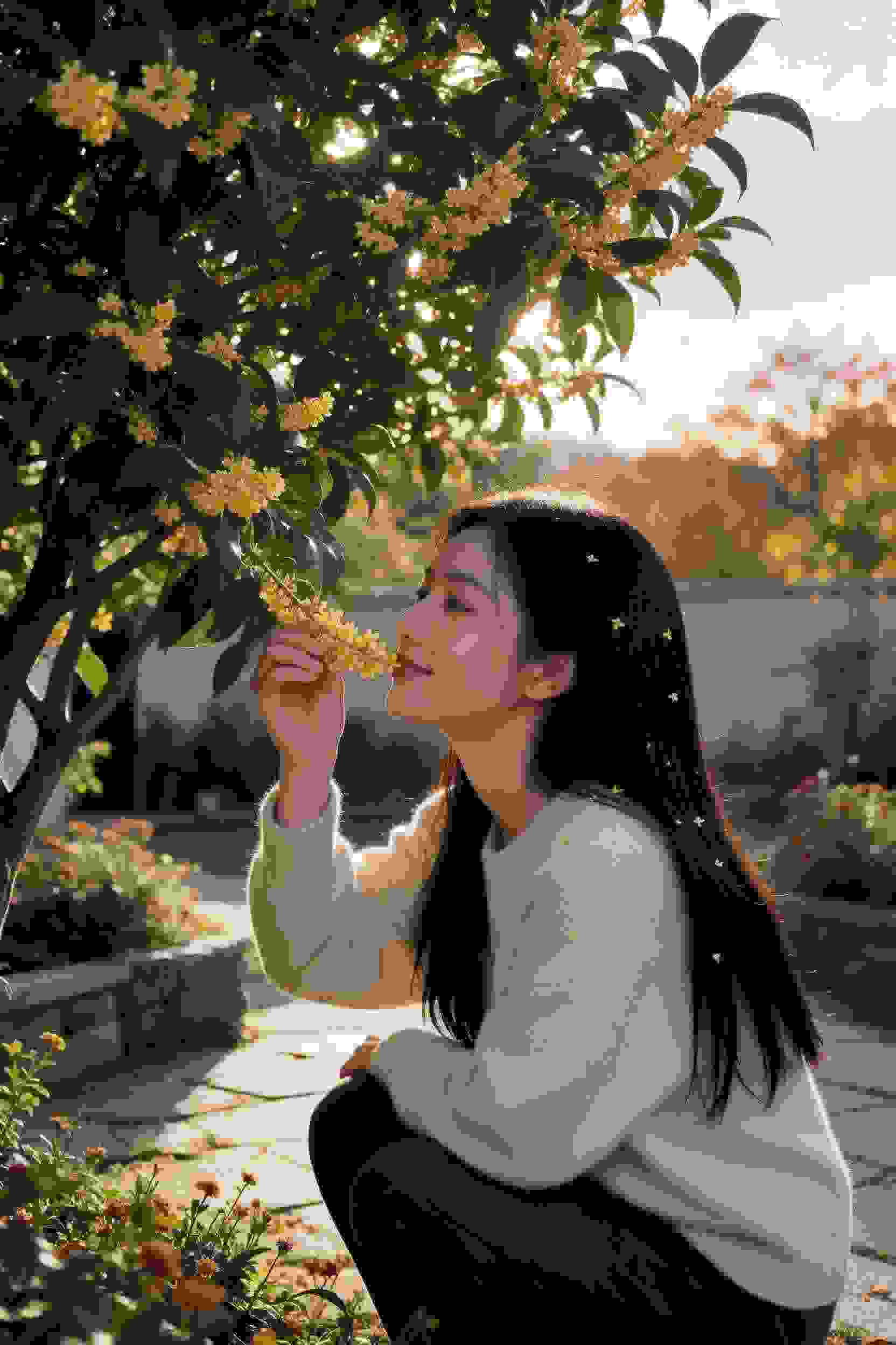 七龙珠